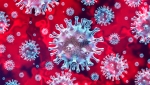 Важные вопросы о коронавирусе
