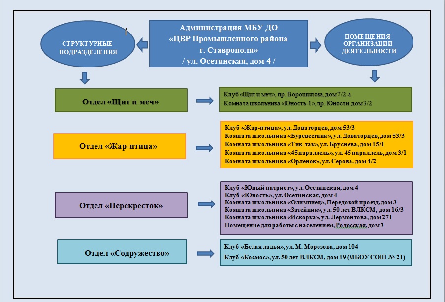 Структура ЦВР.jpg